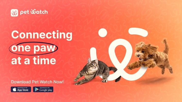 pet watch app