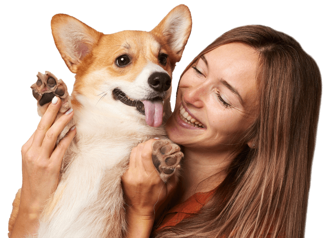 best pet sitting service in Dubai is pet watch app