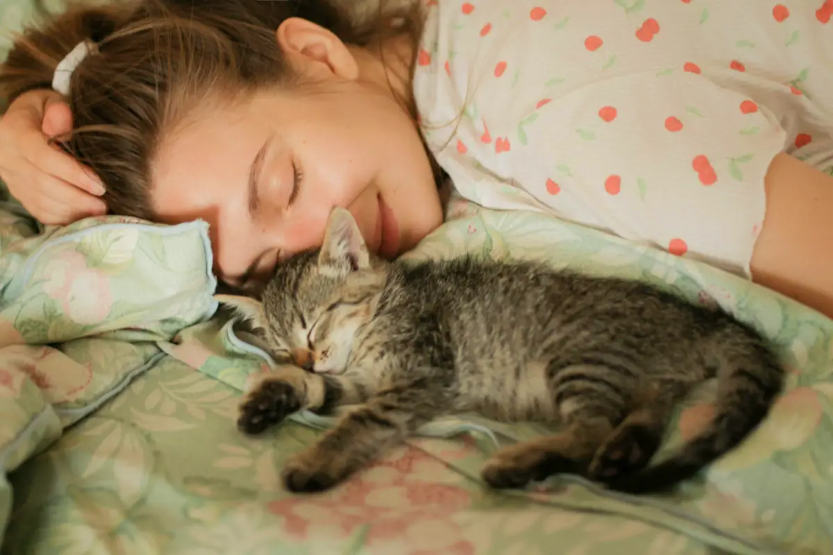 owner and cat sleeping peacefully owner and cat sleeping peacefully