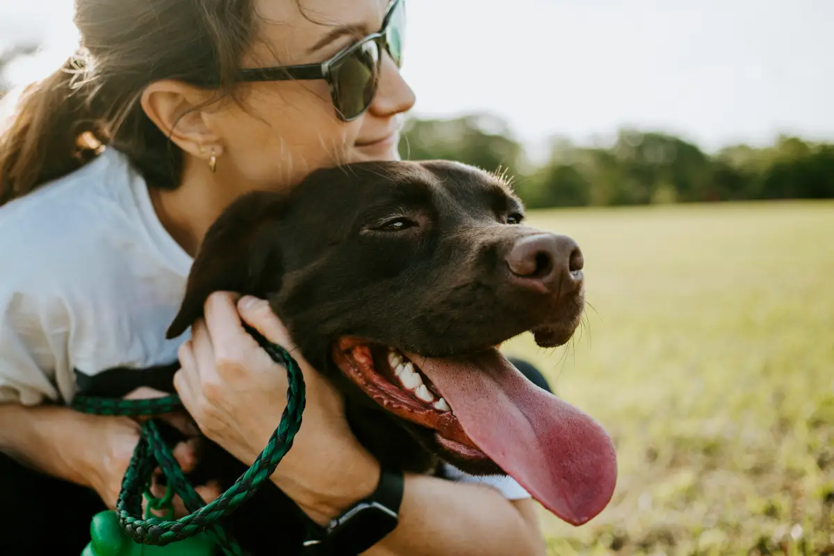 How to Treat Heat Stroke in Dogs happy dog and owner
