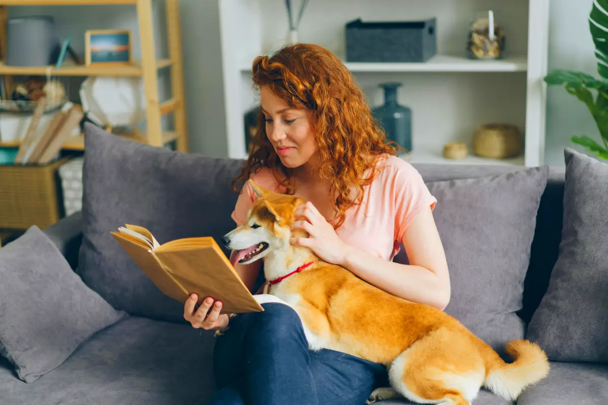 Pet Sitting vs Pet Boarding dog with sitter