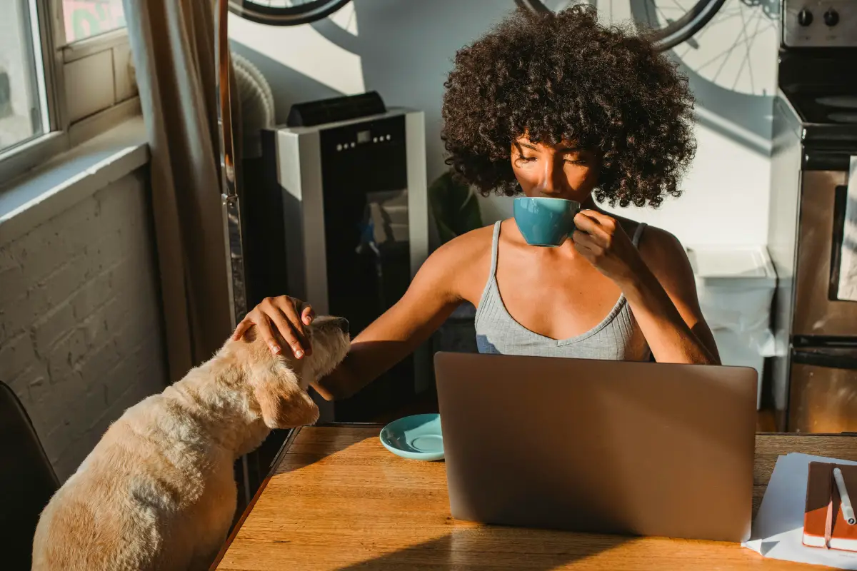 Pet Sitter vs Pet Kennel pet sitter with a cat at home drinking coffee