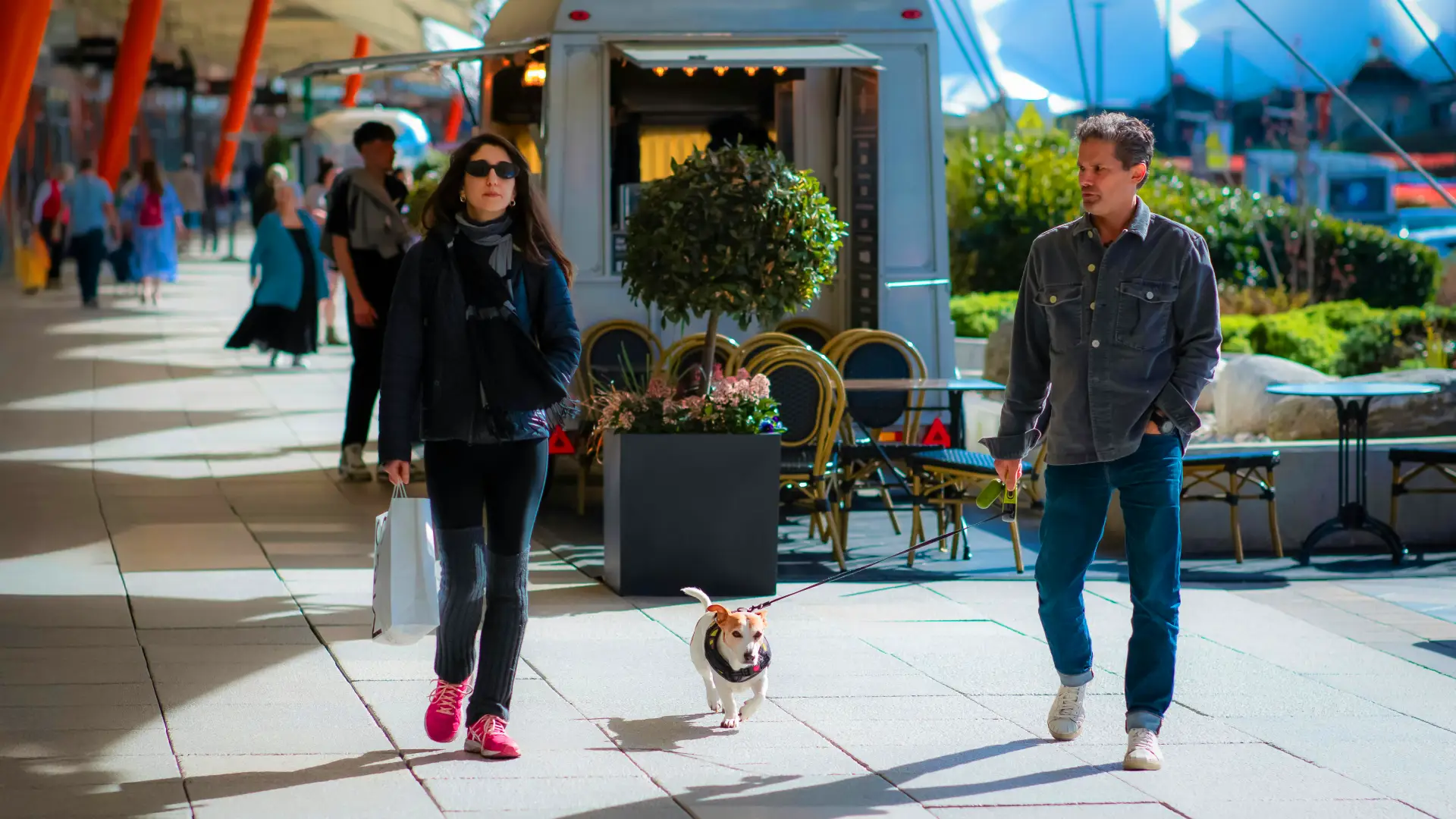are dogs allowed in malls in dubai