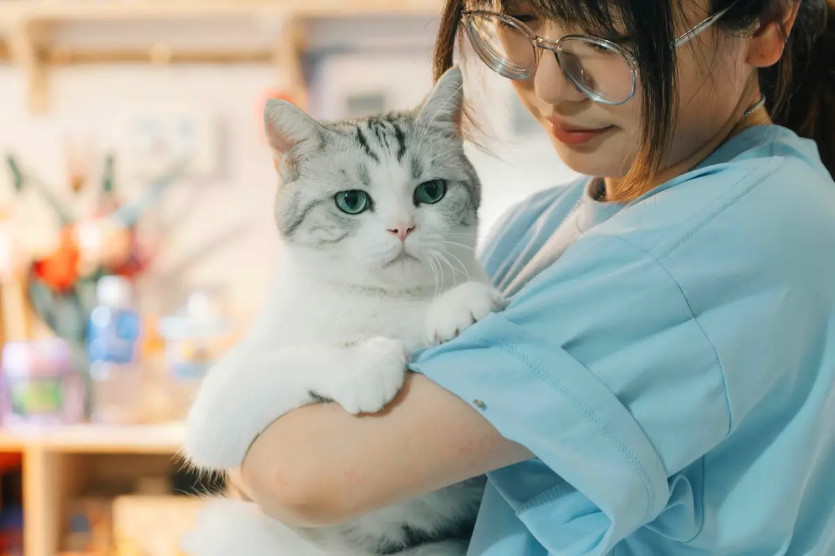 cat sitter with cat in house pet sitting