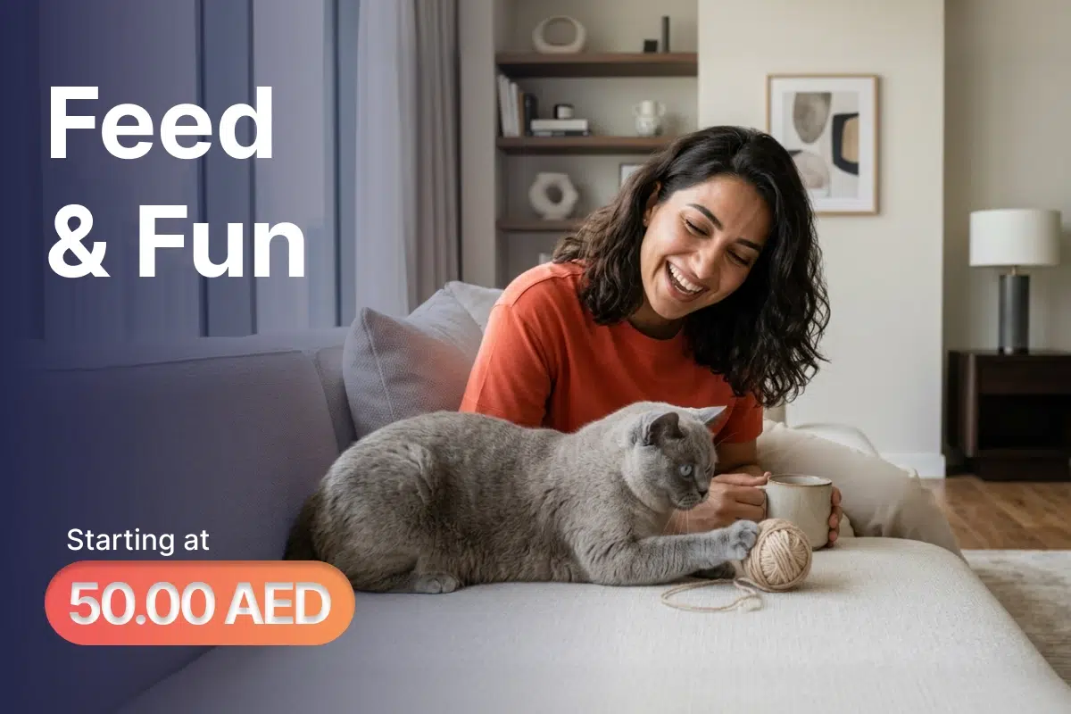 Cat Sitter Service feeding and fun time