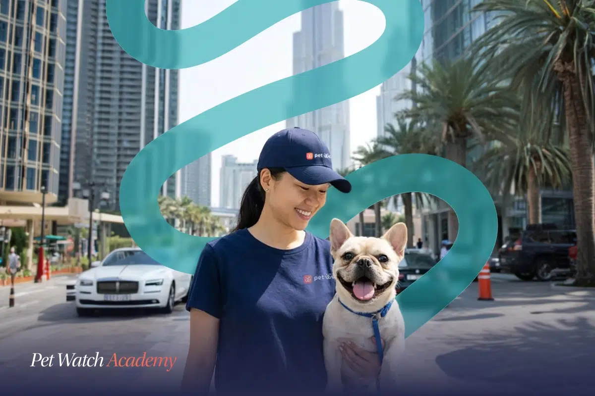 pet watch academy pet sitter with dog