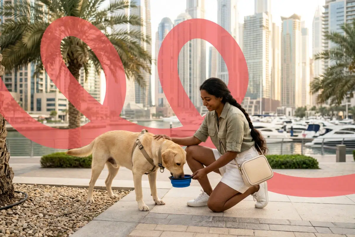 dog walking uae sitter giving water to a dog